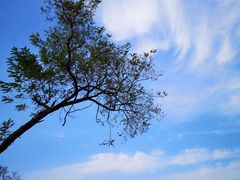-浮山香苑