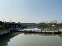 -八大山人梅湖景区