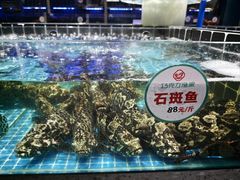 -巧克力渔家.小船海鲜胶东菜(万平口店)