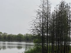 -三山岛