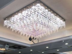 -黄埔华苑酒家(黄埔店)