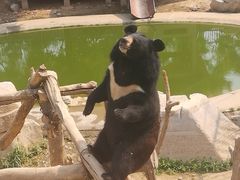 -石家庄市动物园