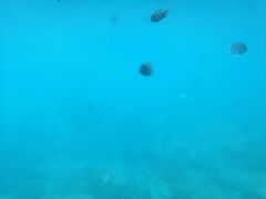 -亚龙湾海底世界
