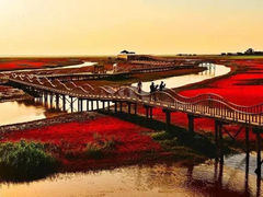 -红海滩国家风景廊道