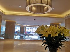 -芽庄喜来登水疗酒店
