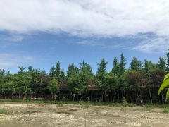 -百林岛梦里水乡