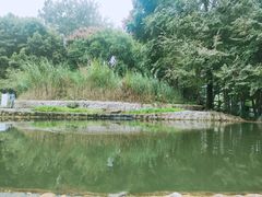 -成都市活水公园