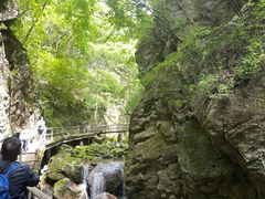 -牛背梁国家森林公园