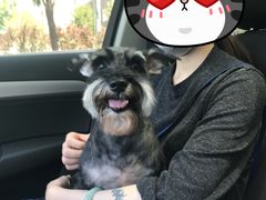 -达爱动物医院·犬猫分区·CT·复杂眼科(远洋山水分院)