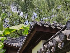 -秋霞圃