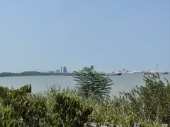 -上海滨江森林公园
