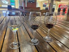 -紫轩葡萄酒庄园