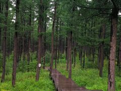 -塞罕坝国家级自然保护区