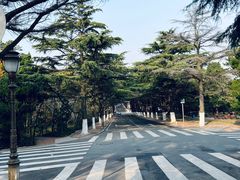 -八大关景区