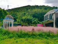 -东海半边山旅游度假区
