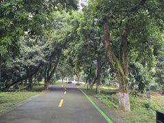 -张坝桂圆林公园