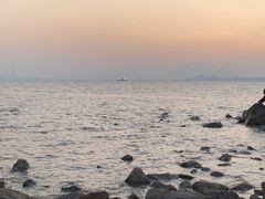 -深圳湾公园(南山区)
