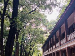 -马王堆汉墓遗址