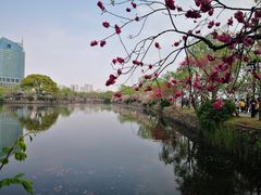 -无锡蠡湖国家湿地公园-蠡园