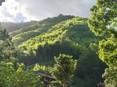-林坑古村落