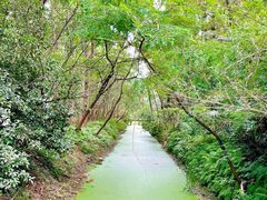 -东平国家森林公园