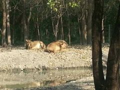 -溱湖国家湿地公园