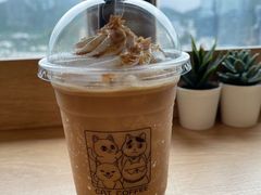 -猫小主咖啡·猫咖cat cafe(福田店)