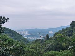-大屏嶂森林公园