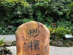 -深圳仙湖植物园