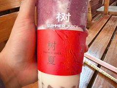-树夏(锦里店)