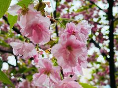 -朝阳公园