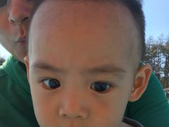 -北纬44度·金珠花海休闲农业旅游景区