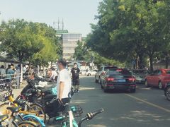 -中国中医科学院西苑医院(本部)
