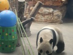 -石家庄市动物园