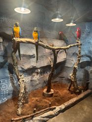 -Zoolung Zoolung动物主题公园(海信广场店)