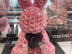 -ROSEONLY诺誓(广州K11店)