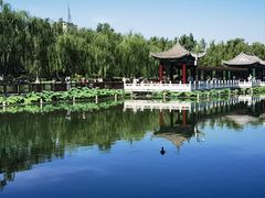 -莲花池公园