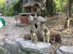 -宁波野生动物园