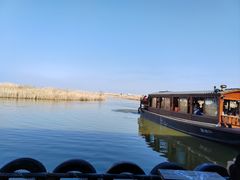 -宁波杭州湾国家湿地公园