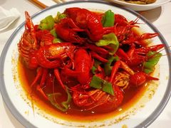 -杨氏青龙虾·羊蝎子(金盛路总店)