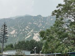 -凤凰岭蒙古包风味餐厅