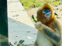 -大连森林动物园