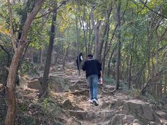 -紫金山山顶公园