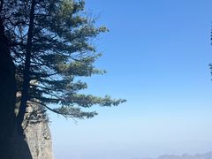 -秦岭天竺山生态文化旅游景区