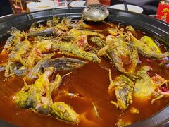-金海椒罐罐鲢鱼(东方桂苑店)
