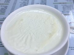 双皮奶-义顺牛奶公司