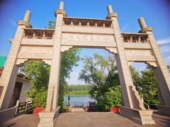 -溱湖国家湿地公园