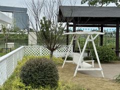 -杭州湾海上花田景区