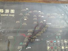 -王顺山国家森林公园