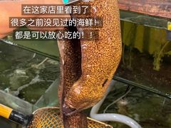 -岛中岛·海鲜大排档·万宁老字号(东澳店)
